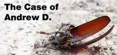 The Case of Andrew D.