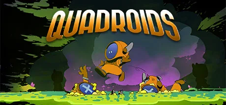 Quadroids