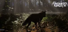 Untamed Kingdom