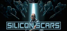 Silicon Scars