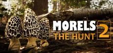 Morels: The Hunt 2