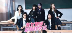 美女，请别影响我学习