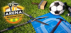 Arena Renovation