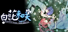 Flowerless Gardenia 白花未咲
