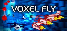 Voxel Fly