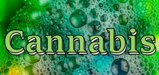 Cannabis