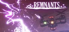 Remnants