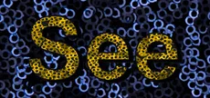 See