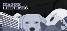 Imagine Lifetimes