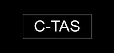 C-TAS: A Virtual Chinese Learning Game