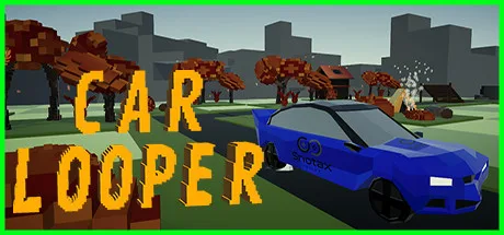Car Looper
