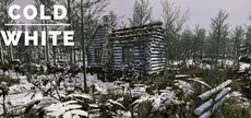 The Cold White