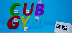 Cub Gym