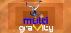 Multigravity
