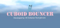 Cuboid Bouncer