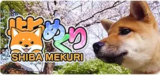 Shiba Mekuri 柴めくり