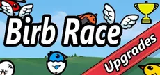 Birb Race