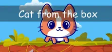 Cat from the box